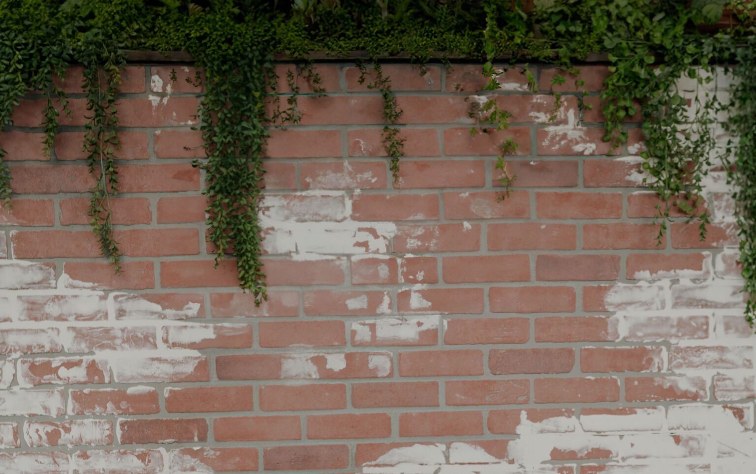 Brick wall with greenery is commonly found throughout the salon at Changes Hair Studio